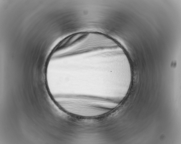 X0000091561468200709141526