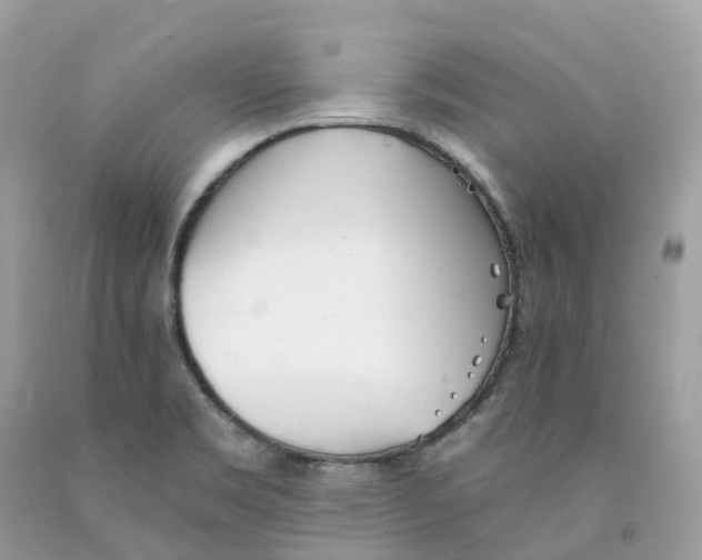 X0000091561469200709141526