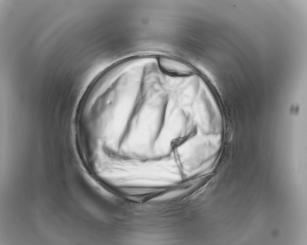 X0000091561471200709141526