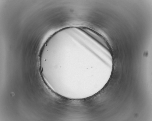 X0000091561472200709141526