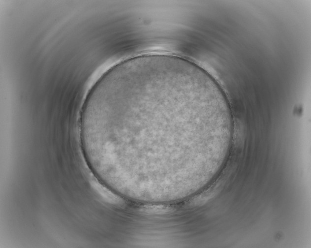 X0000091561474200709141526