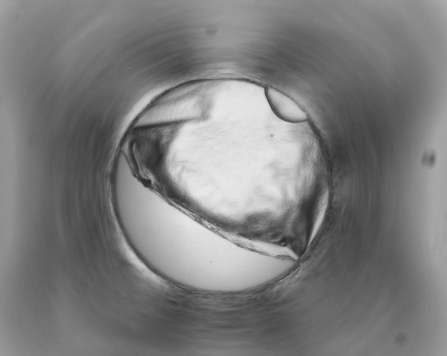 X0000091561476200709141526