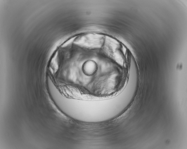 X0000091561477200709141526