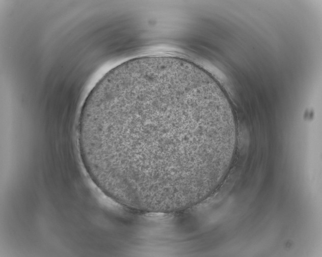 X0000091561478200709141526