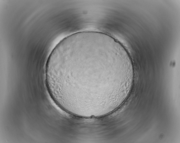 X0000091561479200709141526