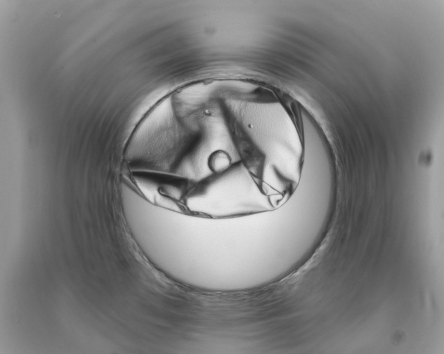 X0000091561481200709141526