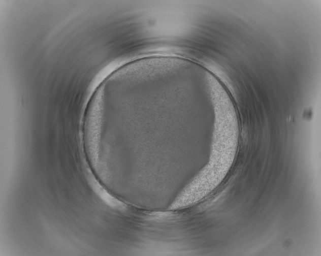 X0000091561482200709141526