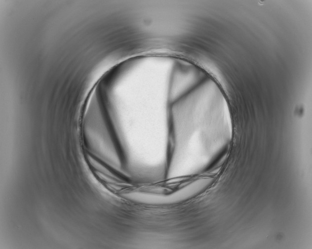 X0000091561483200709141526