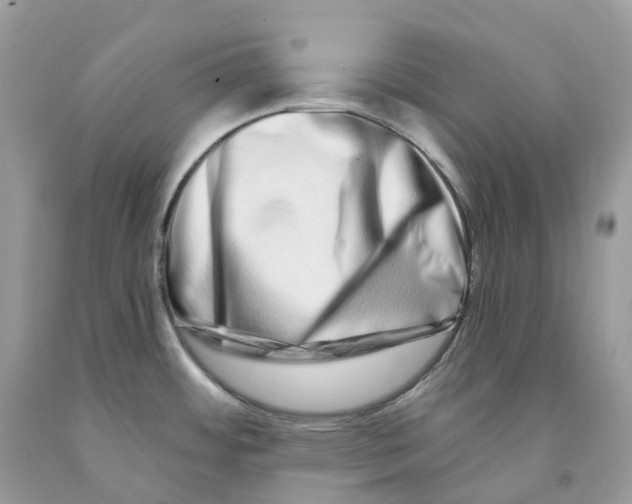 X0000091561484200709141526