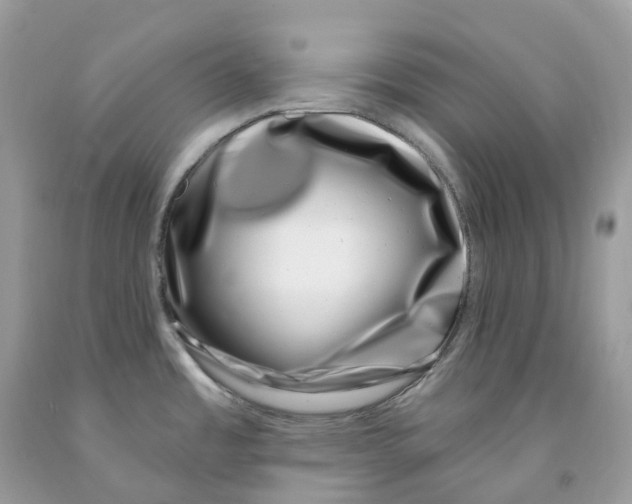 X0000091561485200709141526