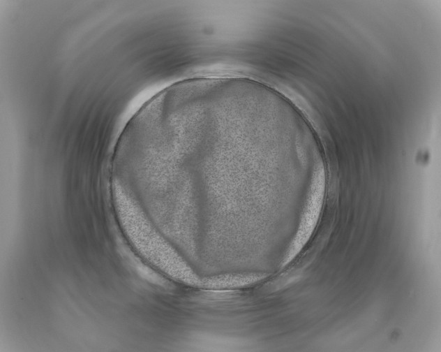 X0000091561486200709141526