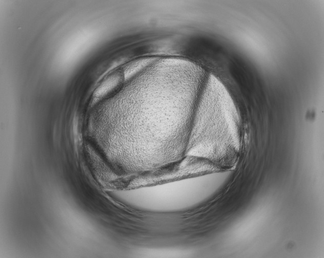 X0000091561487200709141526