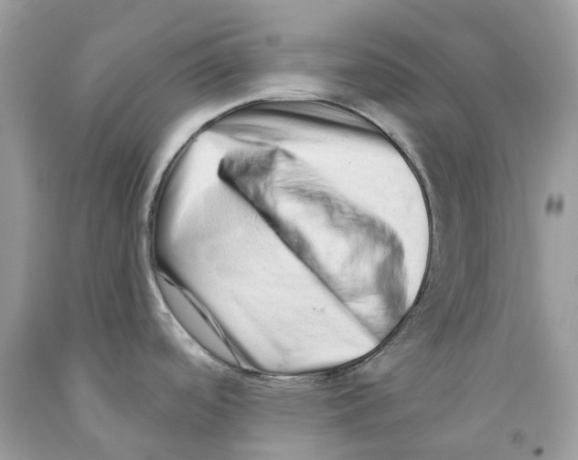 X0000091561488200709141526