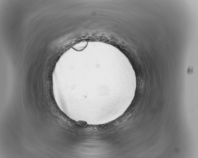 X0000091561489200709141525