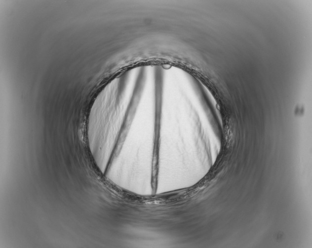 X0000091561490200709141525