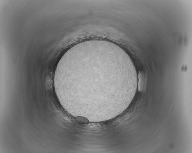 X0000091561491200709141525