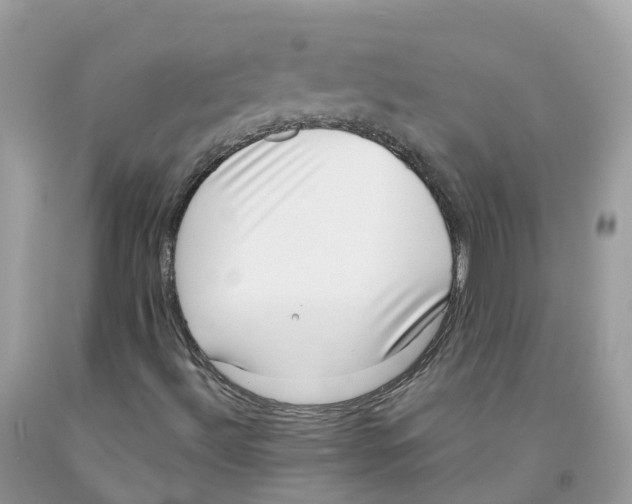 X0000091561492200709141525