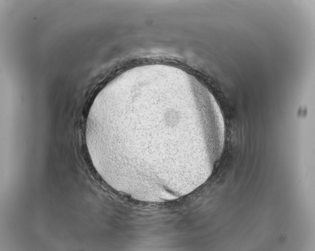 X0000091561493200709141525