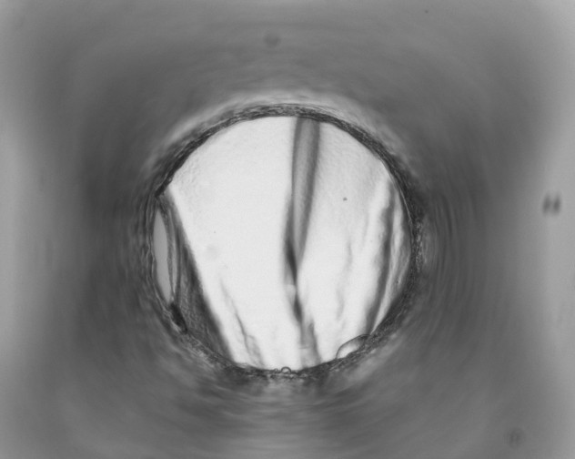 X0000091561494200709141525