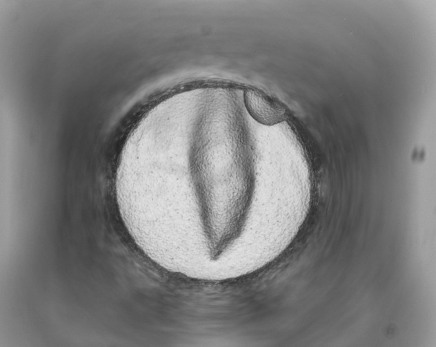 X0000091561495200709141525