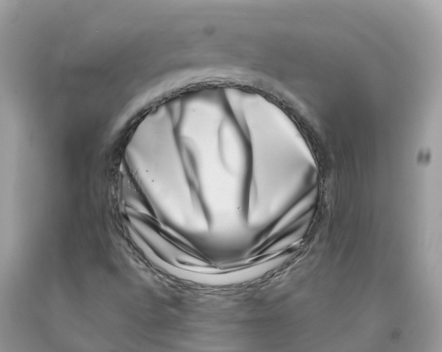 X0000091561496200709141525