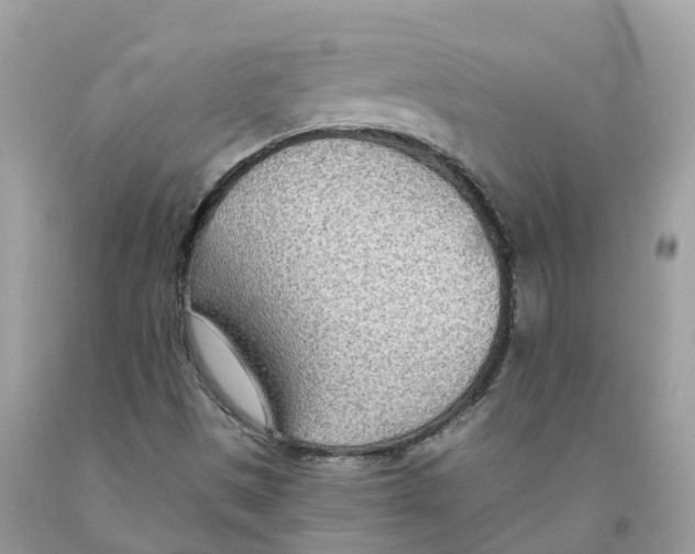 X0000091561497200709141525