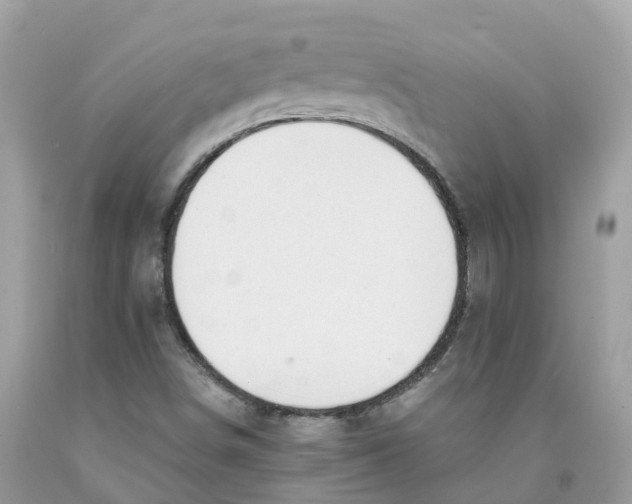 X0000091561498200709141525