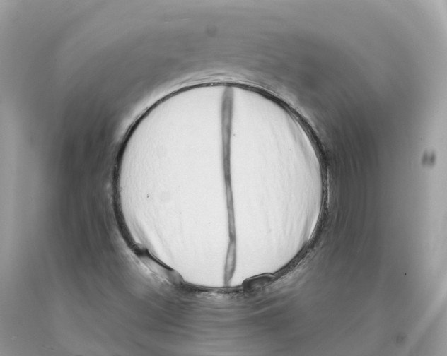 X0000091561500200709141525