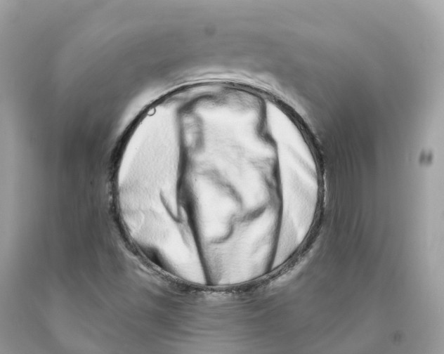 X0000091561501200709141525