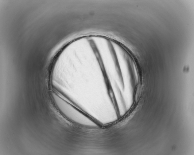 X0000091561502200709141525