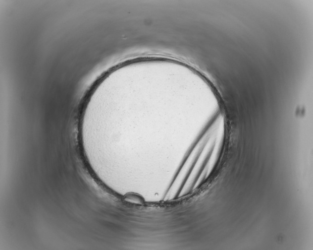 X0000091561503200709141525