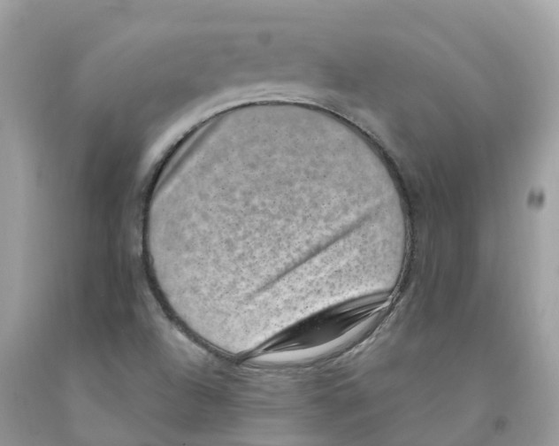 X0000091561504200709141525