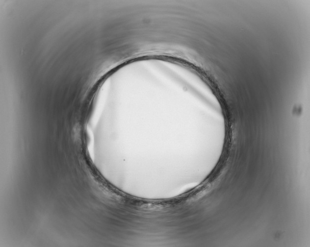 X0000091561505200709141525