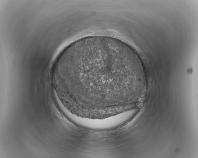 X0000091561506200709141525