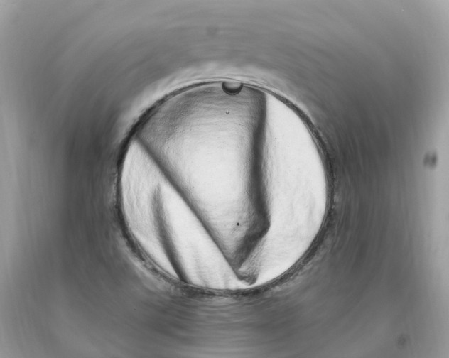 X0000091561507200709141525