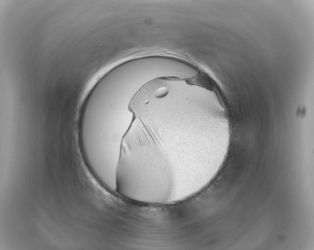 X0000091561508200709141525