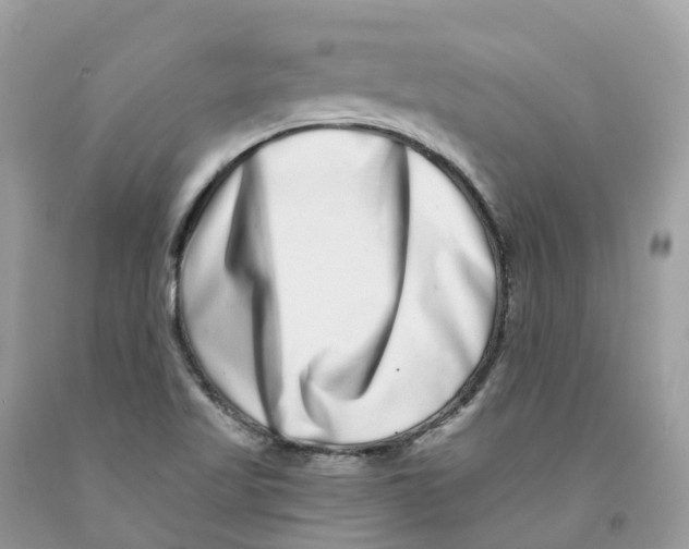 X0000091561509200709141525