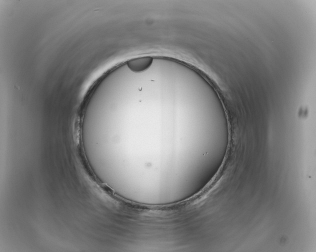 X0000091561510200709141525