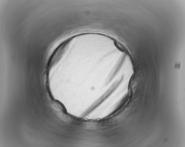 X0000091561511200709141525