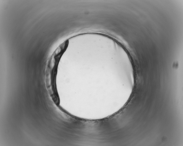 X0000091561512200709141525