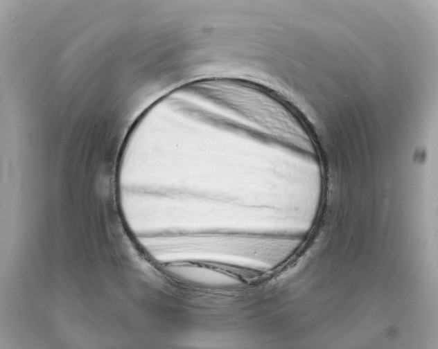 X0000091561513200709141525