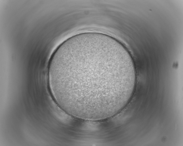 X0000091561514200709141526