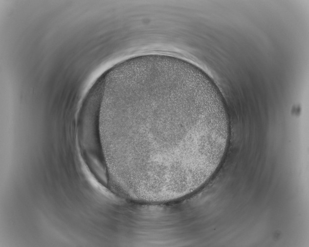 X0000091561515200709141526