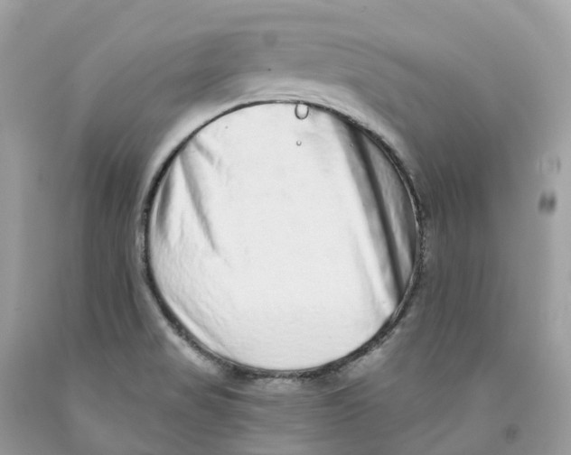 X0000091561517200709141526