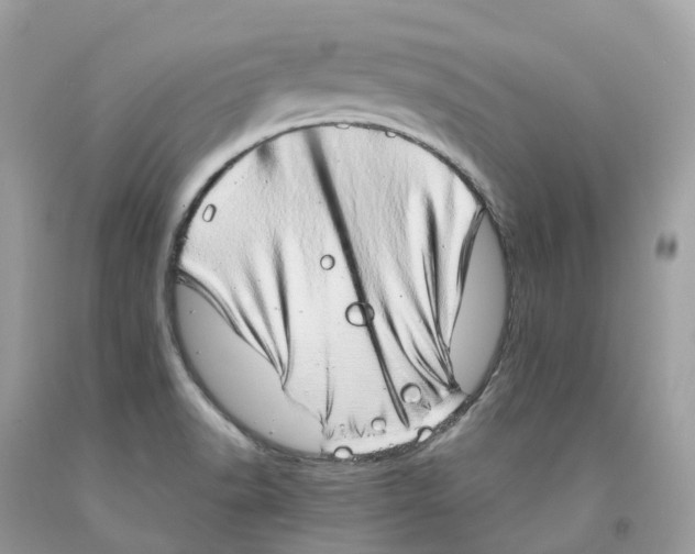 X0000091561518200709141526