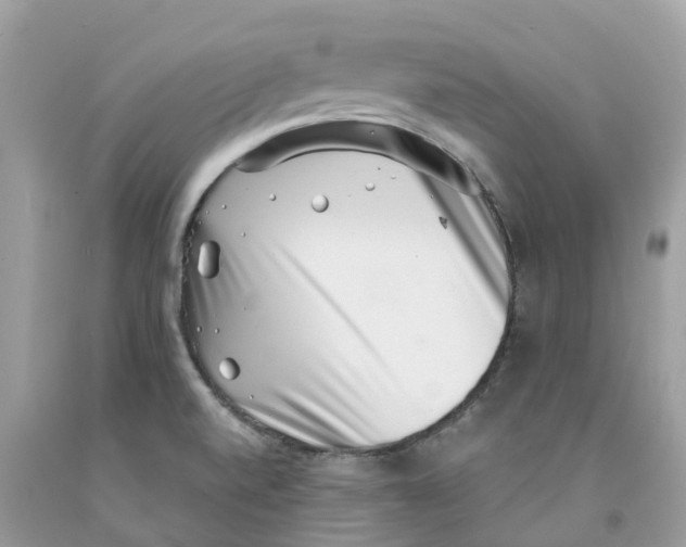 X0000091561520200709141526