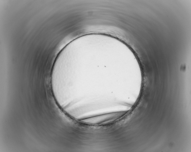 X0000091561521200709141526