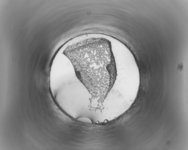 X0000091561522200709141526