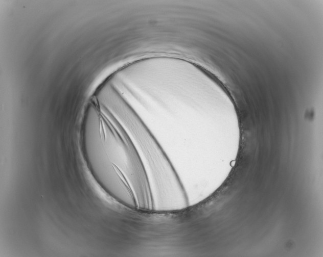 X0000091561523200709141526