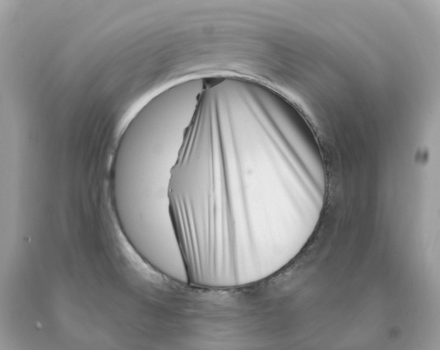 X0000091561524200709141526